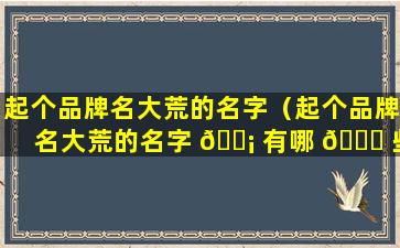 起个品牌名大荒的名字（起个品牌名大荒的名字 🐡 有哪 🐟 些）